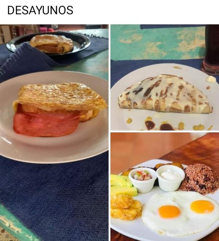 Hostal Don Gato 그라나다 외부 사진
